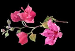 Decorative floral motif